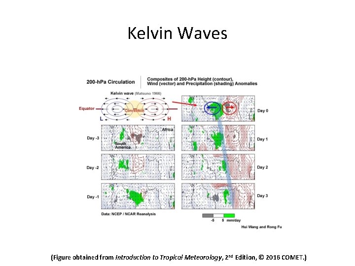 Kelvin Waves (Figure obtained from Introduction to Tropical Meteorology, 2 nd Edition, © 2016