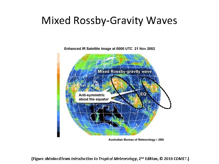 Mixed Rossby-Gravity Waves (Figure obtained from Introduction to Tropical Meteorology, 2 nd Edition, ©