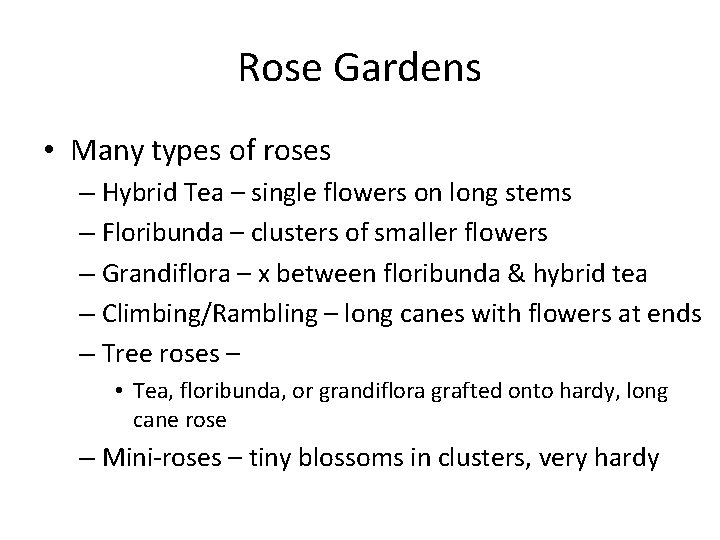 Rose Gardens • Many types of roses – Hybrid Tea – single flowers on