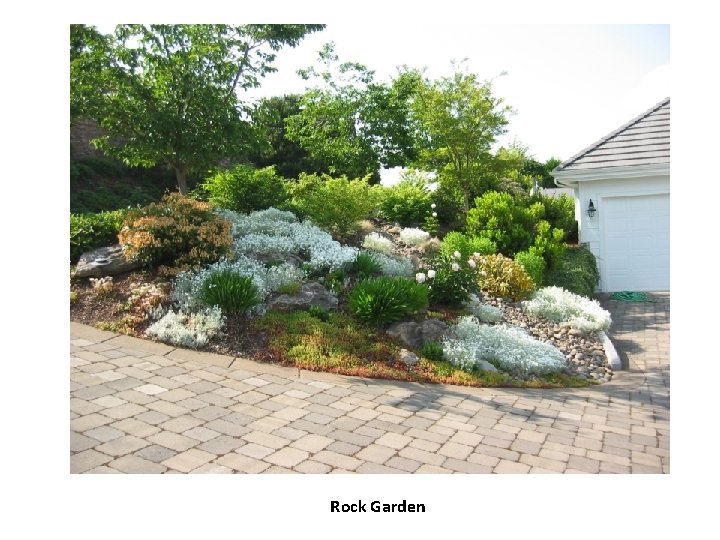 Rock Garden 