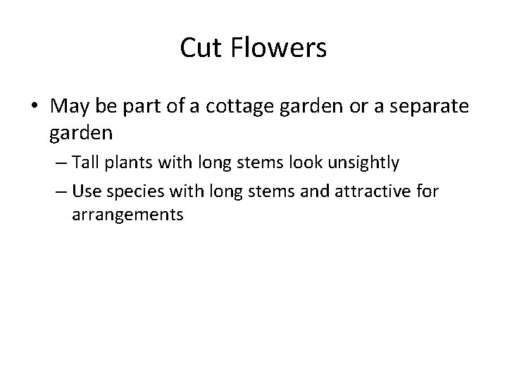 Cut Flowers • May be part of a cottage garden or a separate garden