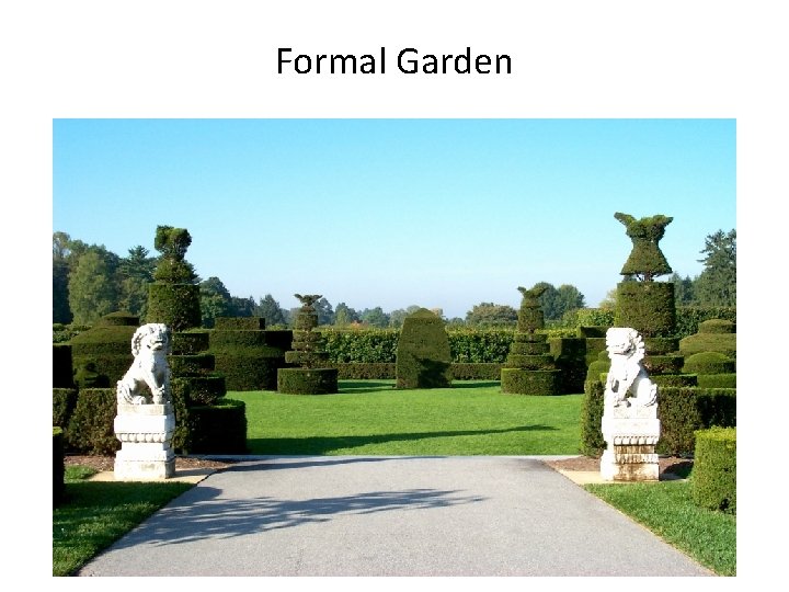 Formal Garden 