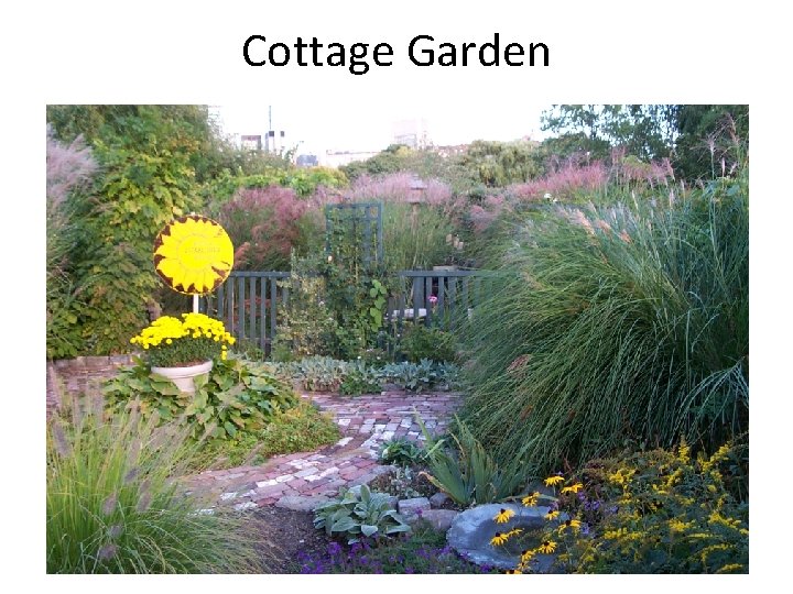 Cottage Garden 