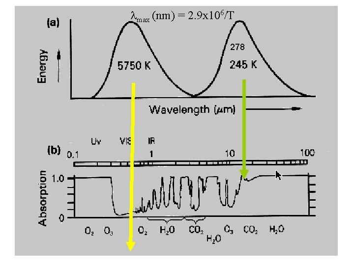  max (nm) = 2. 9 x 106/T 278 