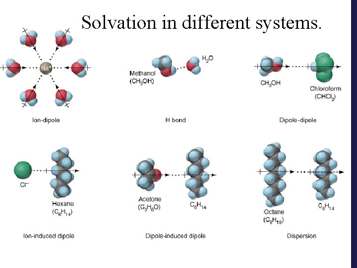 Solvation in different systems. 