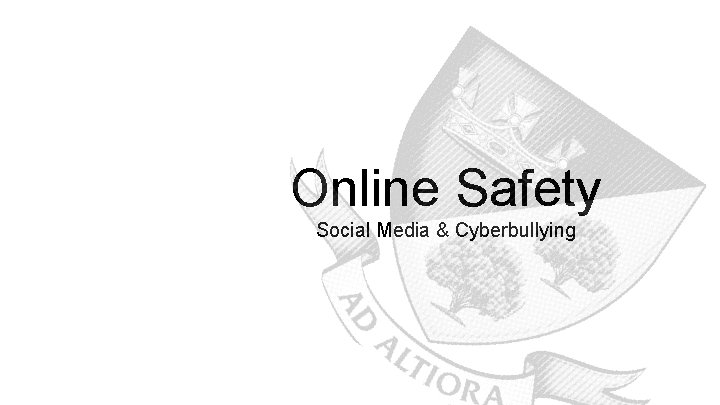 Online Safety Social Media & Cyberbullying 