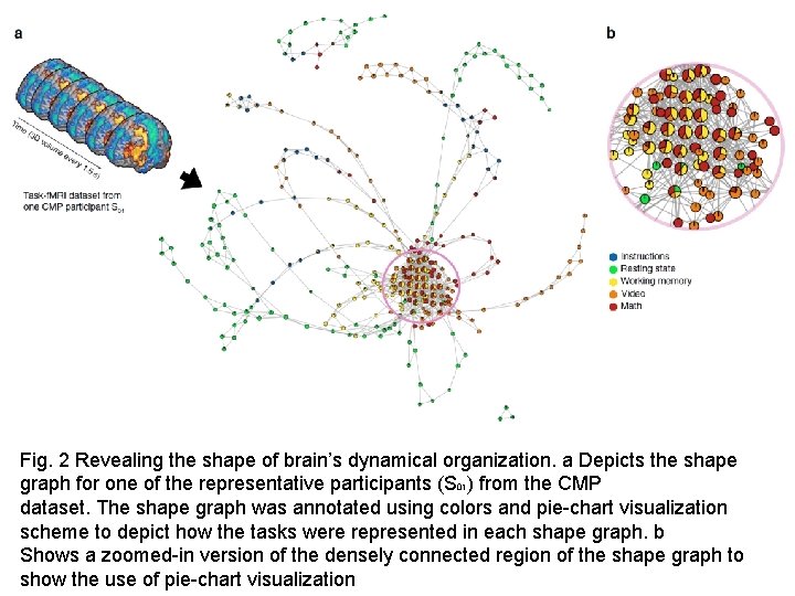 Fig. 2 Revealing the shape of brain’s dynamical organization. a Depicts the shape graph
