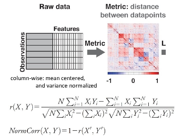 column‐wise: mean centered, and variance normalized 