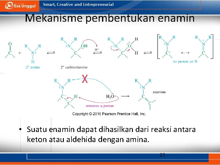 Mekanisme pembentukan enamin • Suatu enamin dapat dihasilkan dari reaksi antara keton atau aldehida