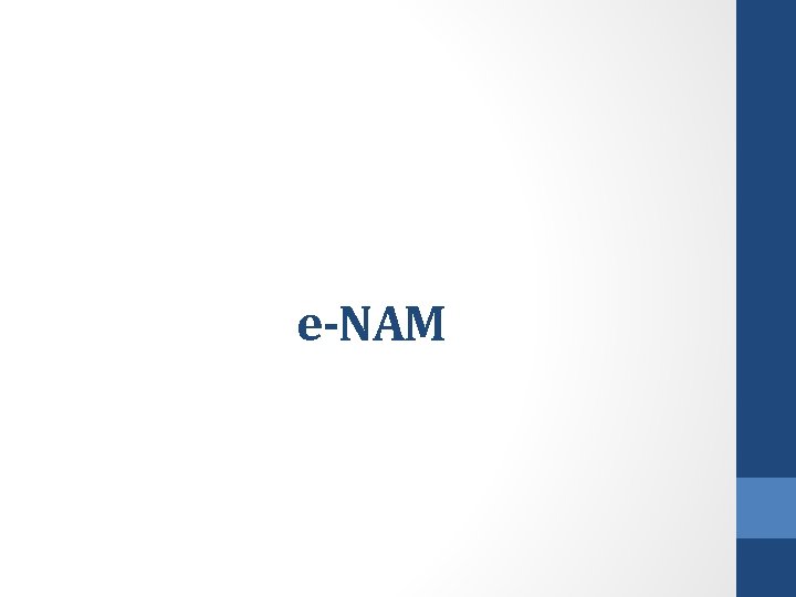 e-NAM 