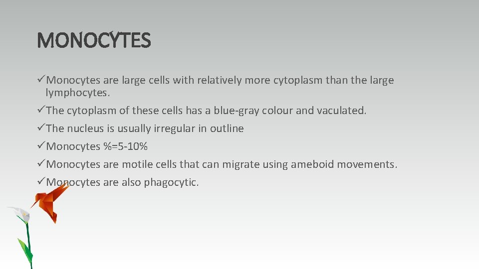MONOCYTES üMonocytes are large cells with relatively more cytoplasm than the large lymphocytes. üThe