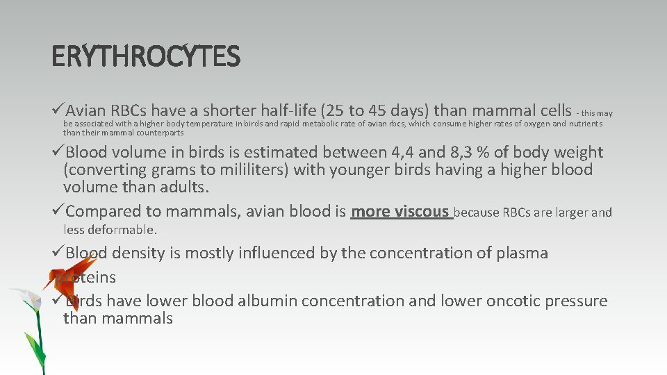 ERYTHROCYTES üAvian RBCs have a shorter half-life (25 to 45 days) than mammal cells