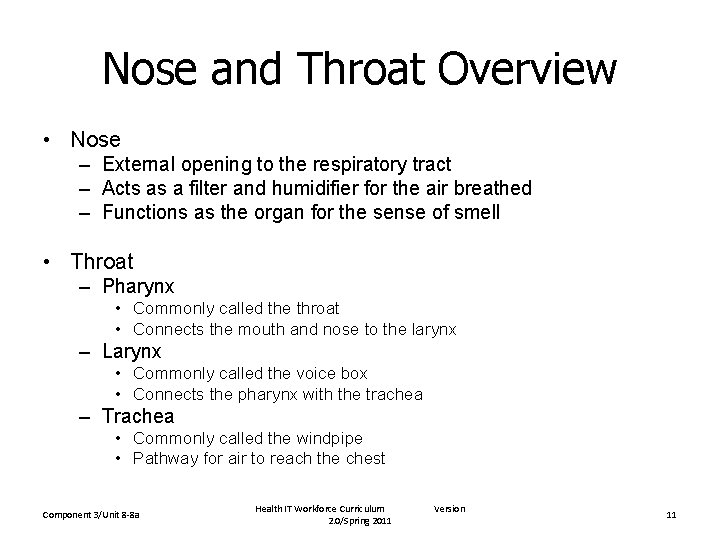 Nose and Throat Overview • Nose – External opening to the respiratory tract –