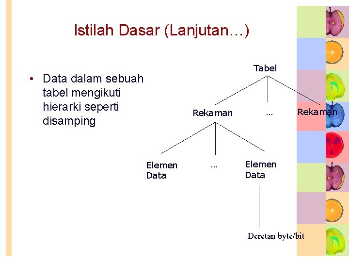 Istilah Dasar (Lanjutan…) Tabel • Data dalam sebuah tabel mengikuti hierarki seperti disamping Rekaman Istilah Dasar (Lanjutan…) Tabel • Data dalam sebuah tabel mengikuti hierarki seperti disamping Rekaman