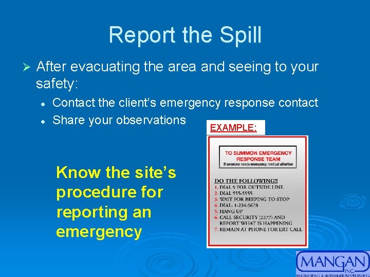 Report the Spill Ø After evacuating the area and seeing to your safety: l