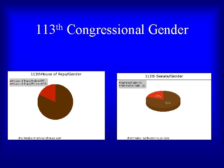 th 113 Congressional Gender 