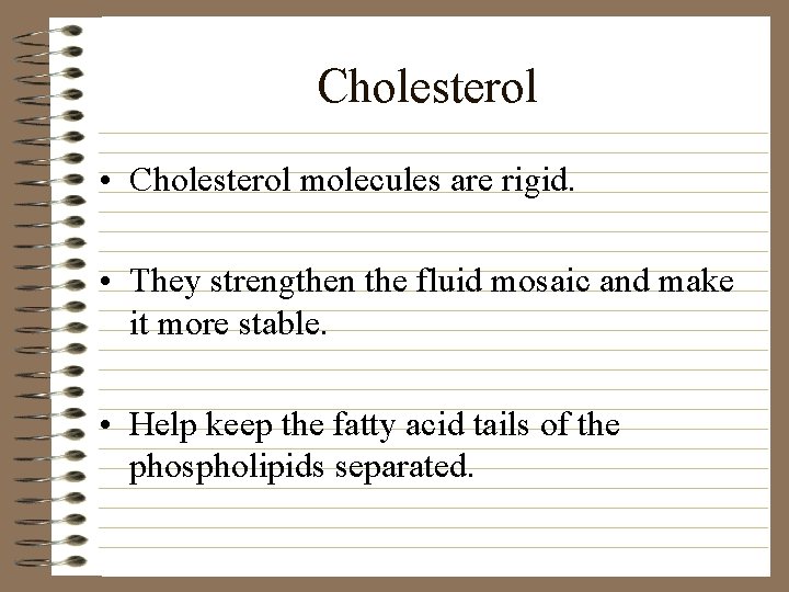 Cholesterol • Cholesterol molecules are rigid. • They strengthen the fluid mosaic and make