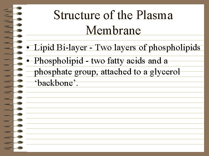 Structure of the Plasma Membrane • Lipid Bi-layer - Two layers of phospholipids •