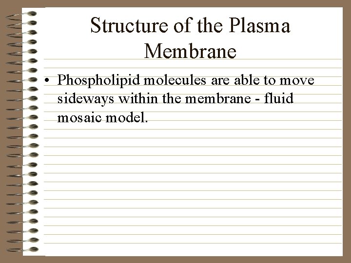 Structure of the Plasma Membrane • Phospholipid molecules are able to move sideways within