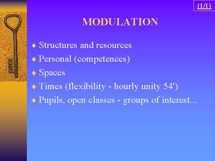 (1/1) MODULATION ¨ Structures and resources ¨ Personal (competences) ¨ Spaces ¨ Times (flexibility