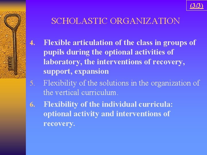 (3/3) SCHOLASTIC ORGANIZATION 4. 5. 6. Flexible articulation of the class in groups of