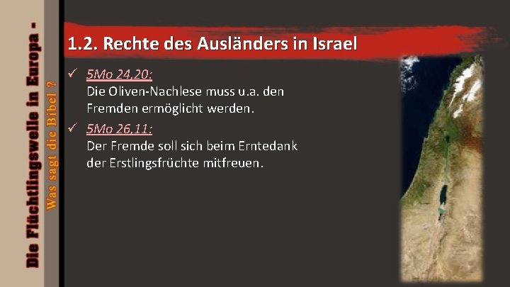 1. 2. Rechte des Ausländers in Israel ü 5 Mo 24, 20: Die Oliven-Nachlese