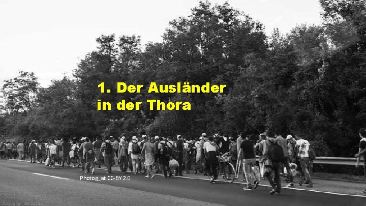 1. Der Ausländer in der Thora Photog_at CC-BY 2. 0 