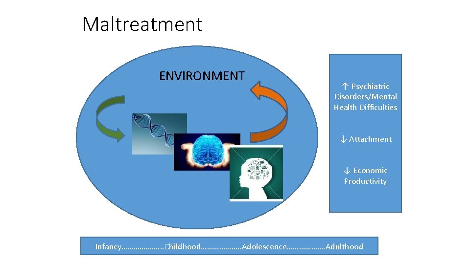 Maltreatment ENVIRONMENT ↑ Psychiatric Disorders/Mental Health Difficulties ↓ Attachment ↓ Economic Productivity Infancy. ……………….