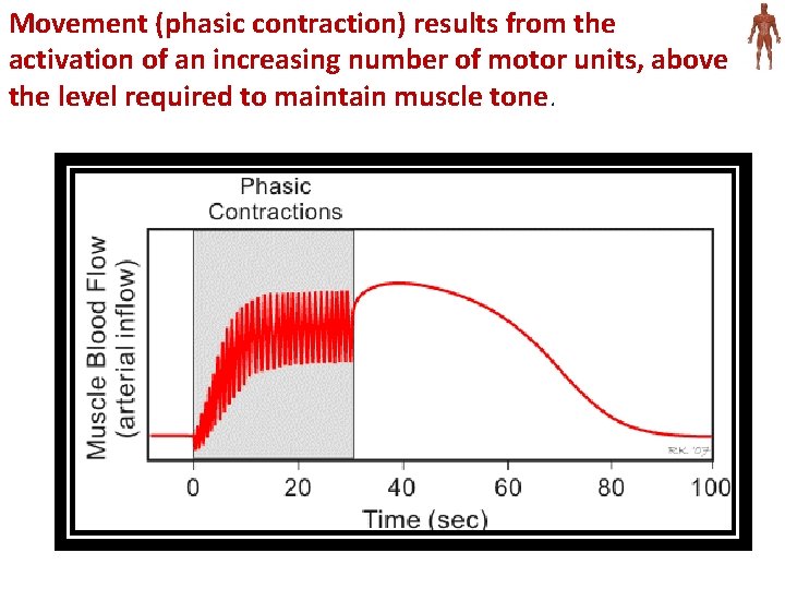 Movement (phasic contraction) results from the activation of an increasing number of motor units,