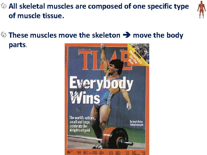 All skeletal muscles are composed of one specific type of muscle tissue. These muscles