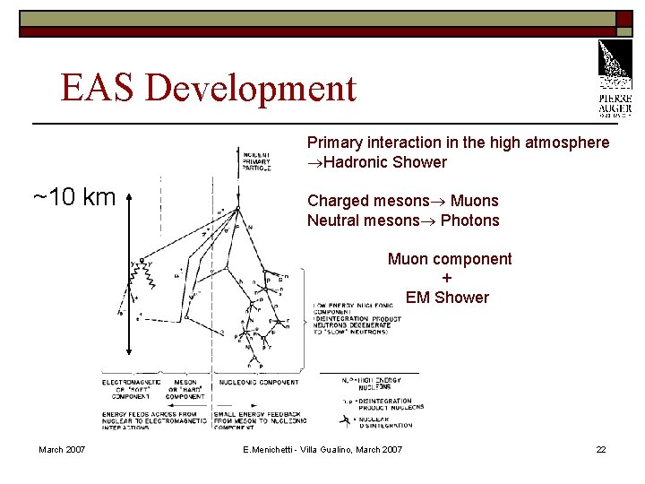 EAS Development Primary interaction in the high atmosphere Hadronic Shower ~10 km Charged mesons