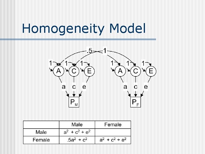 Homogeneity Model 