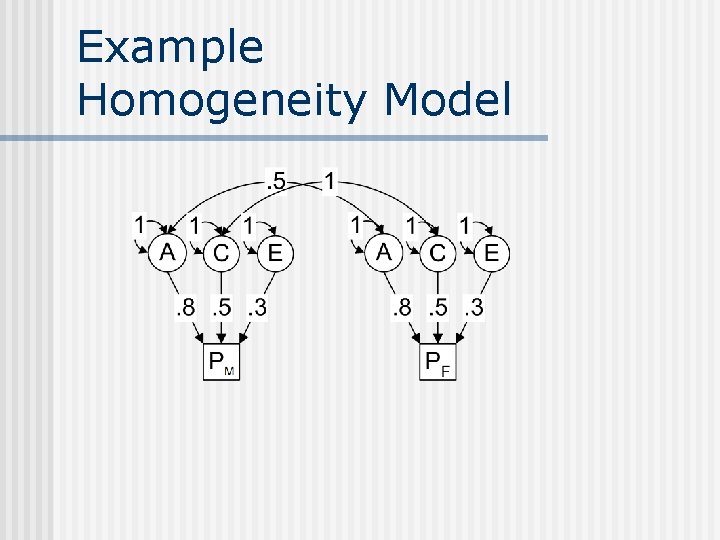 Example Homogeneity Model 