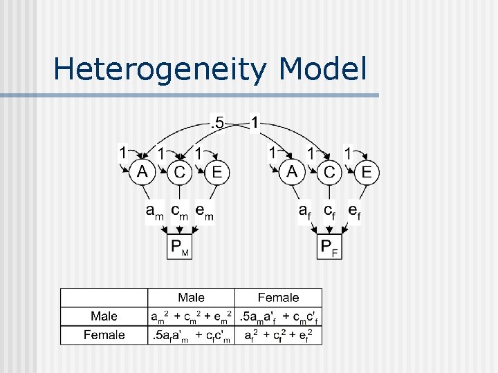 Heterogeneity Model 