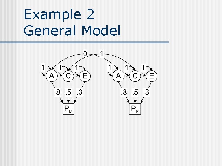 Example 2 General Model 