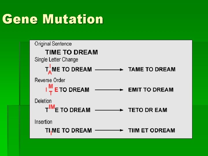 Gene Mutation 