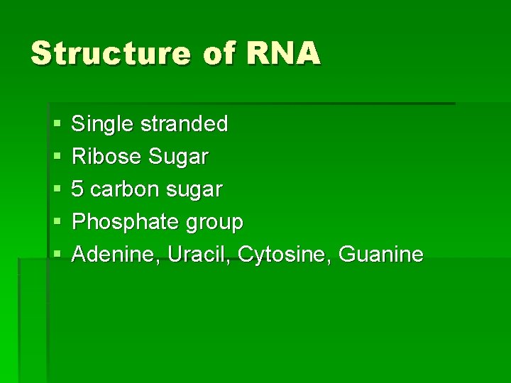Structure of RNA § § § Single stranded Ribose Sugar 5 carbon sugar Phosphate