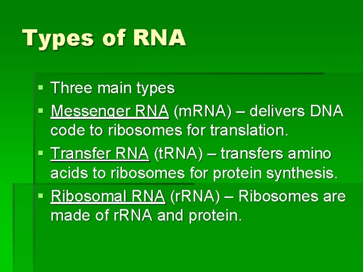 Types of RNA § Three main types § Messenger RNA (m. RNA) – delivers