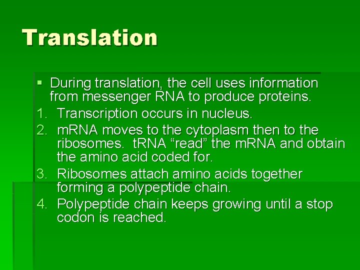 Translation § During translation, the cell uses information from messenger RNA to produce proteins.