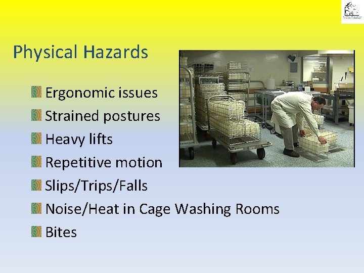 Physical Hazards Ergonomic issues Strained postures Heavy lifts Repetitive motion Slips/Trips/Falls Noise/Heat in Cage