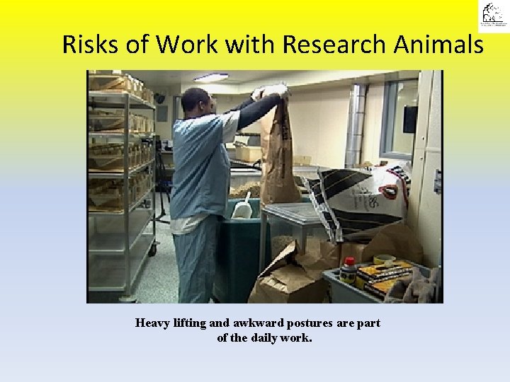 Risks of Work with Research Animals Heavy lifting and awkward postures are part of