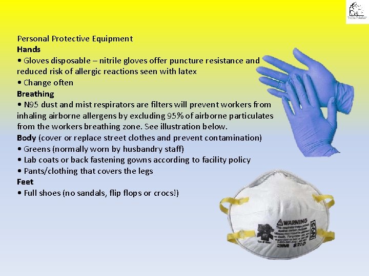 Personal Protective Equipment Hands • Gloves disposable – nitrile gloves offer puncture resistance and