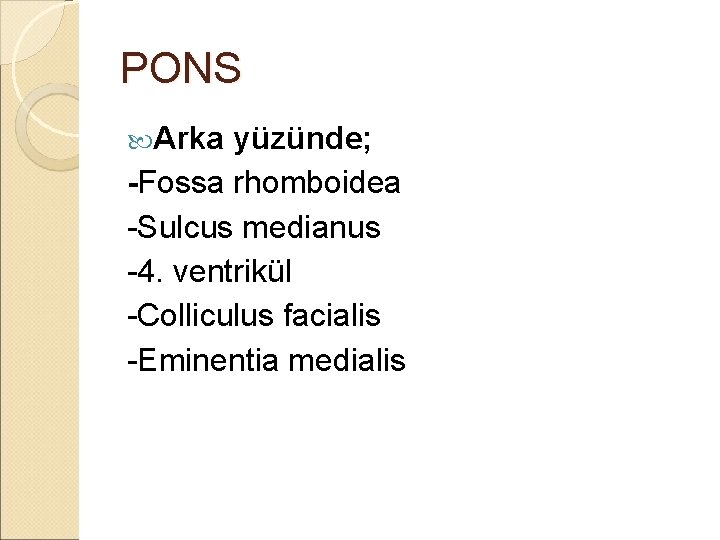 PONS Arka yüzünde; -Fossa rhomboidea -Sulcus medianus -4. ventrikül -Colliculus facialis -Eminentia medialis 