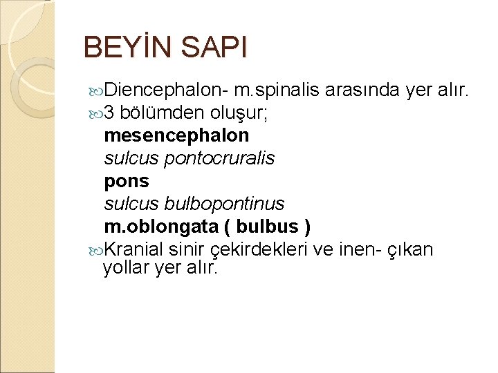 BEYİN SAPI Diencephalon- m. spinalis 3 bölümden oluşur; arasında yer alır. mesencephalon sulcus pontocruralis