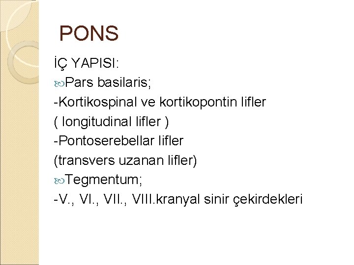 PONS İÇ YAPISI: Pars basilaris; -Kortikospinal ve kortikopontin lifler ( longitudinal lifler ) -Pontoserebellar