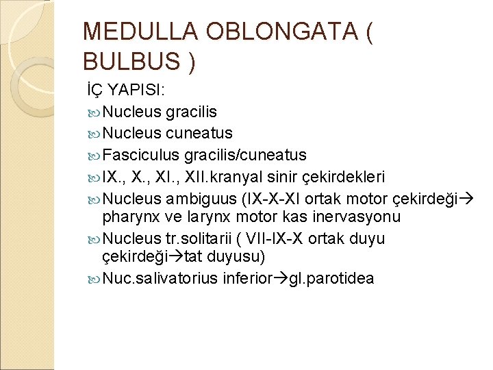 MEDULLA OBLONGATA ( BULBUS ) İÇ YAPISI: Nucleus gracilis Nucleus cuneatus Fasciculus gracilis/cuneatus IX.