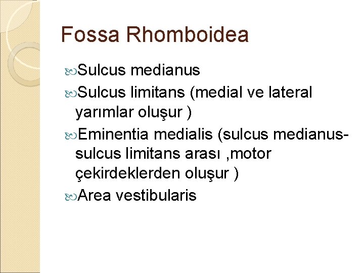 Fossa Rhomboidea Sulcus medianus Sulcus limitans (medial ve lateral yarımlar oluşur ) Eminentia medialis