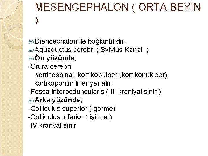 MESENCEPHALON ( ORTA BEYİN ) Diencephalon ile bağlantılıdır. Aquaductus cerebri ( Sylvius Kanalı Ön