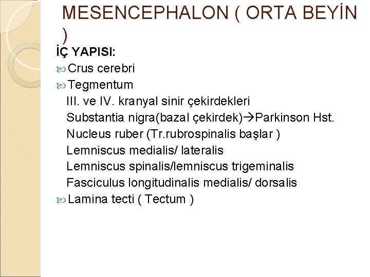 MESENCEPHALON ( ORTA BEYİN ) İÇ YAPISI: Crus cerebri Tegmentum III. ve IV. kranyal
