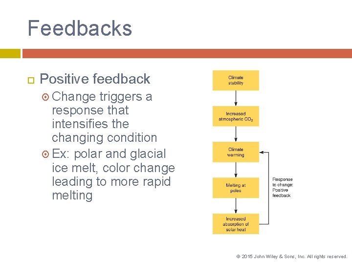 Feedbacks Positive feedback Change triggers a response that intensifies the changing condition Ex: polar